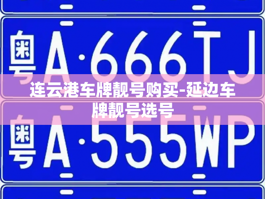 连云港车牌靓号购买-延边车牌靓号选号