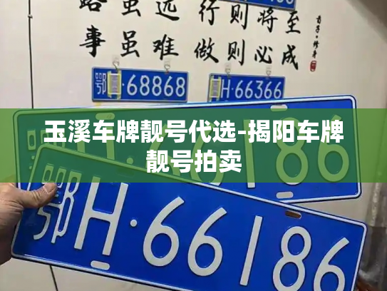 玉溪车牌靓号代选-揭阳车牌靓号拍卖-第1张图片-七号汽车选号