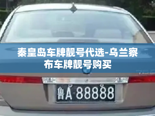 秦皇岛车牌靓号代选-乌兰察布车牌靓号购买-第3张图片-七号汽车选号