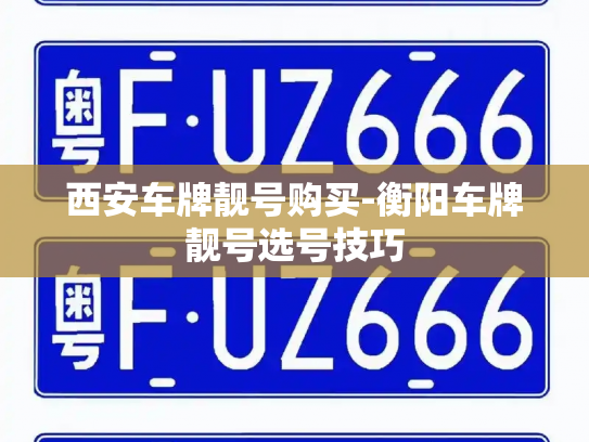 西安车牌靓号购买-衡阳车牌靓号选号技巧-第2张图片-七号汽车选号 西安车牌靓号购买-衡阳车牌靓号选号技巧-第2张图片-七号汽车选号