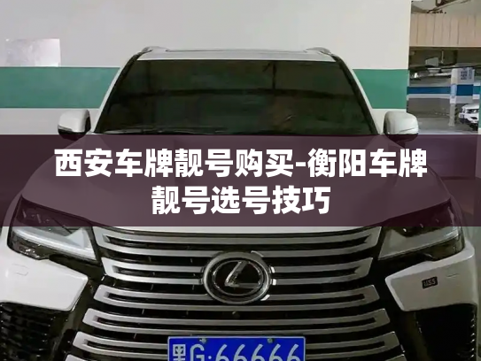 西安车牌靓号购买-衡阳车牌靓号选号技巧-第3张图片-七号汽车选号 西安车牌靓号购买-衡阳车牌靓号选号技巧-第3张图片-七号汽车选号