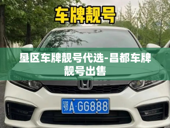 垦区车牌靓号代选-昌都车牌靓号出售-第2张图片-七号汽车选号 垦区车牌靓号代选-昌都车牌靓号出售-第2张图片-七号汽车选号