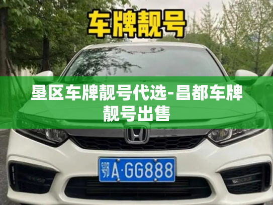 垦区车牌靓号代选-昌都车牌靓号出售-第3张图片-七号汽车选号 垦区车牌靓号代选-昌都车牌靓号出售-第3张图片-七号汽车选号