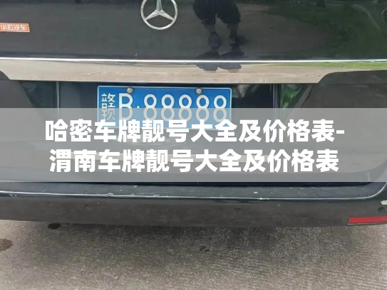 哈密车牌靓号大全及价格表-渭南车牌靓号大全及价格表-第2张图片-七号汽车选号