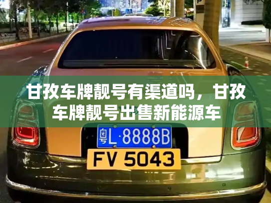 甘孜车牌靓号有渠道吗，甘孜车牌靓号出售新能源车-第2张图片-七号汽车选号