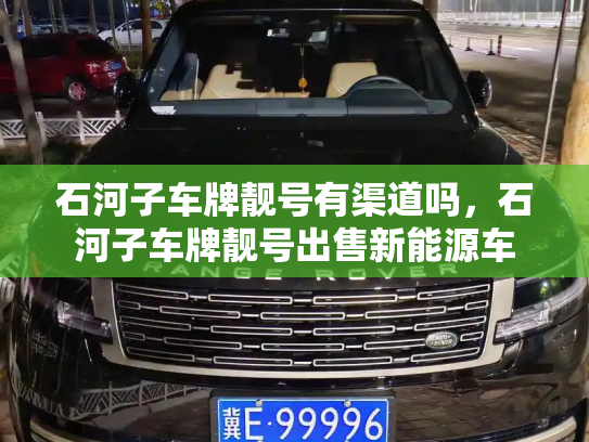 石河子车牌靓号有渠道吗,石河子车牌靓号出售新能源车-第2张图片-七号汽车选号 石河子车牌靓号有渠道吗,石河子车牌靓号出售新能源车-第2张图片-七号汽车选号