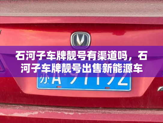 石河子车牌靓号有渠道吗,石河子车牌靓号出售新能源车-第3张图片-七号汽车选号 石河子车牌靓号有渠道吗,石河子车牌靓号出售新能源车-第3张图片-七号汽车选号