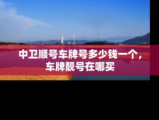中卫顺号车牌号多少钱一个，车牌靓号在哪买