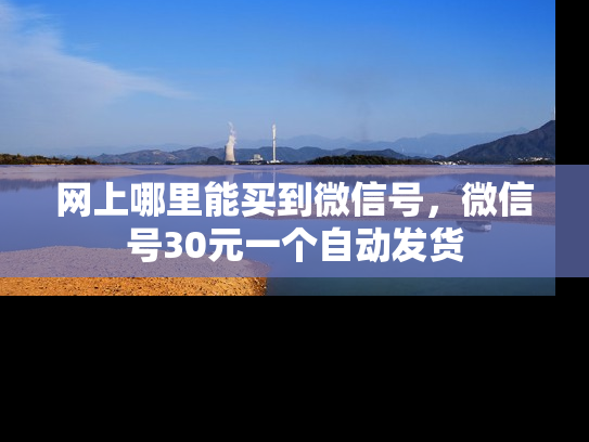网上哪里能买到微信号，微信号30元一个自动发货