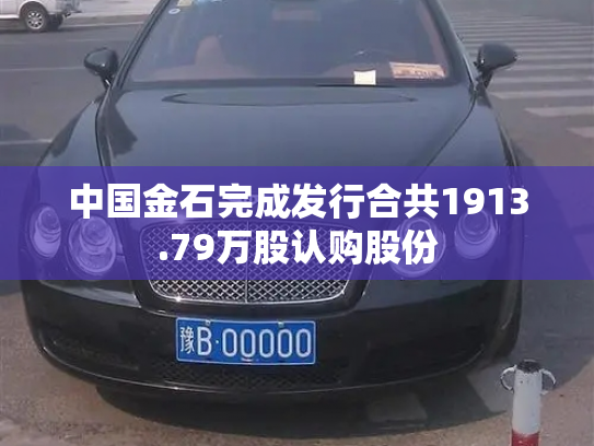 中国金石完成发行合共1913.79万股认购股份-第4张图片-七号汽车选号 中国金石完成发行合共1913.79万股认购股份-第4张图片-七号汽车选号