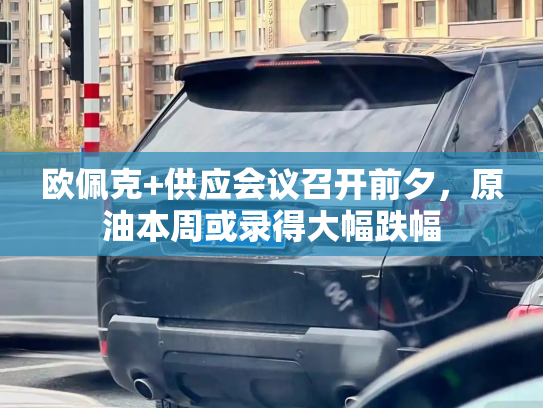 欧佩克+供应会议召开前夕,原油本周或录得大幅跌幅-第3张图片-七号汽车选号 欧佩克+供应会议召开前夕,原油本周或录得大幅跌幅-第3张图片-七号汽车选号