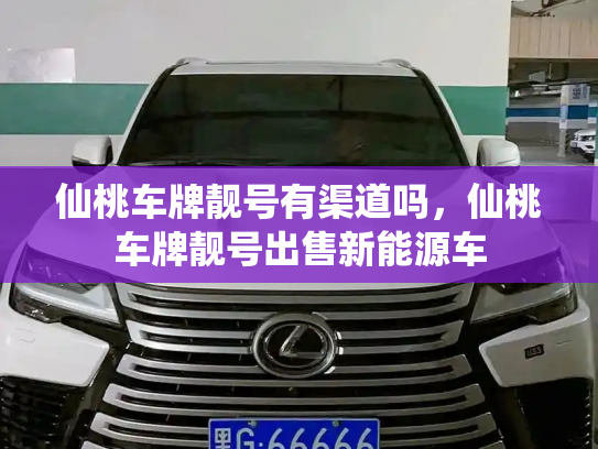 仙桃车牌靓号有渠道吗,仙桃车牌靓号出售新能源车-第2张图片-七号汽车选号 仙桃车牌靓号有渠道吗,仙桃车牌靓号出售新能源车-第2张图片-七号汽车选号
