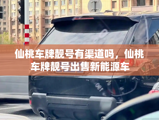 仙桃车牌靓号有渠道吗,仙桃车牌靓号出售新能源车-第3张图片-七号汽车选号 仙桃车牌靓号有渠道吗,仙桃车牌靓号出售新能源车-第3张图片-七号汽车选号