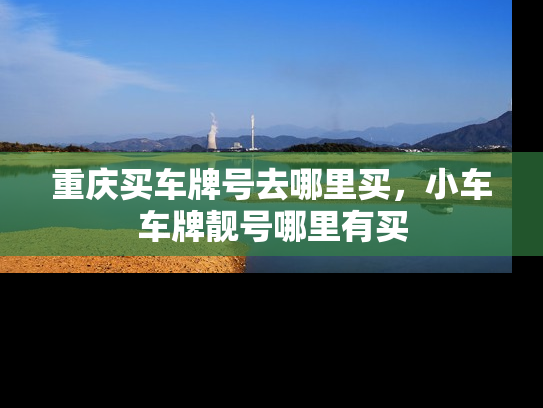 重庆买车牌号去哪里买，小车车牌靓号哪里有买