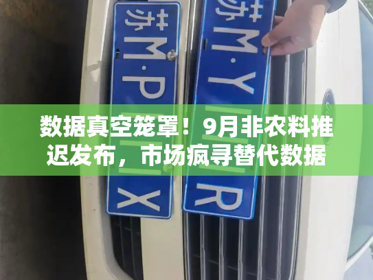 数据真空笼罩!9月非农料推迟发布,市场疯寻替代数据-第4张图片-七号汽车选号 数据真空笼罩!9月非农料推迟发布,市场疯寻替代数据-第4张图片-七号汽车选号