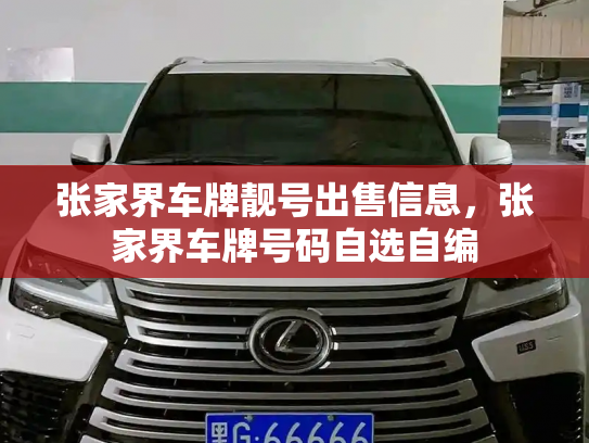 张家界车牌靓号出售信息，张家界车牌号码自选自编-第3张图片-七号汽车选号