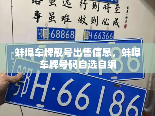 蚌埠车牌靓号出售信息,蚌埠车牌号码自选自编-第3张图片-七号汽车选号 蚌埠车牌靓号出售信息,蚌埠车牌号码自选自编-第3张图片-七号汽车选号