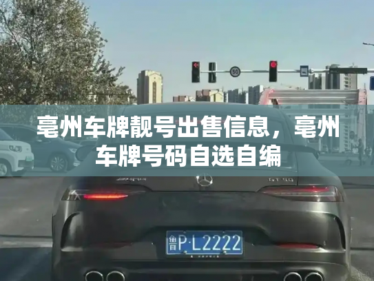 亳州车牌靓号出售信息，亳州车牌号码自选自编-第3张图片-七号汽车选号
