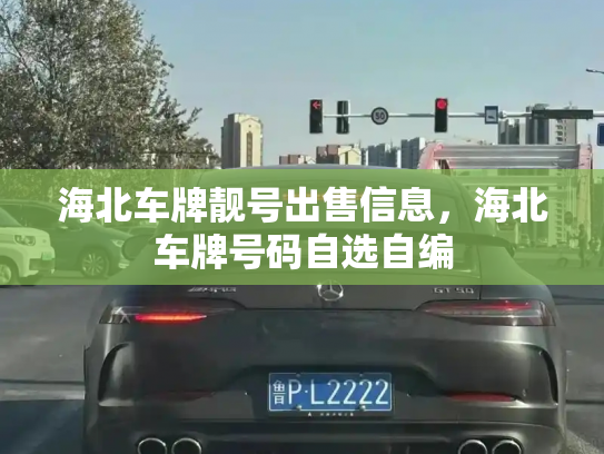 海北车牌靓号出售信息，海北车牌号码自选自编