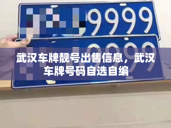 武汉车牌靓号出售信息，武汉车牌号码自选自编