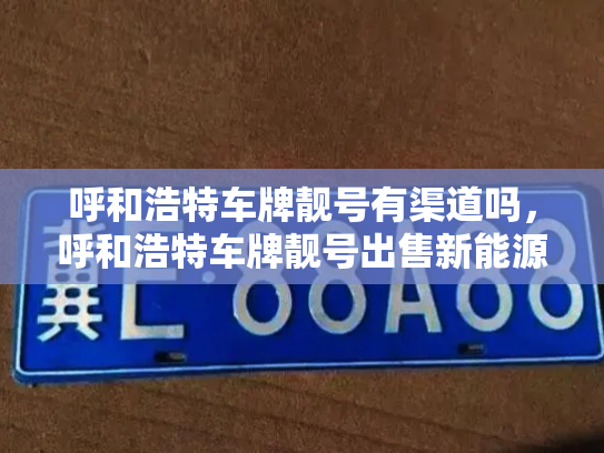 呼和浩特车牌靓号有渠道吗，呼和浩特车牌靓号出售新能源车-第2张图片-七号汽车选号