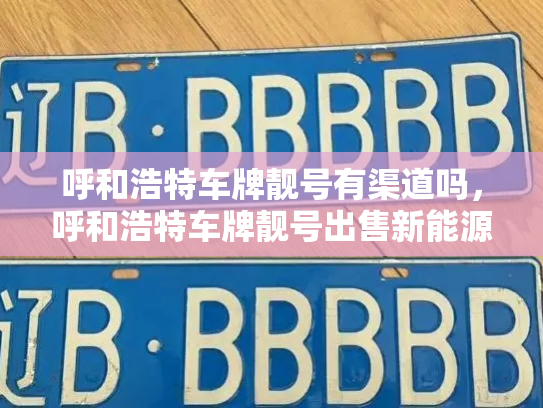 呼和浩特车牌靓号有渠道吗，呼和浩特车牌靓号出售新能源车-第3张图片-七号汽车选号