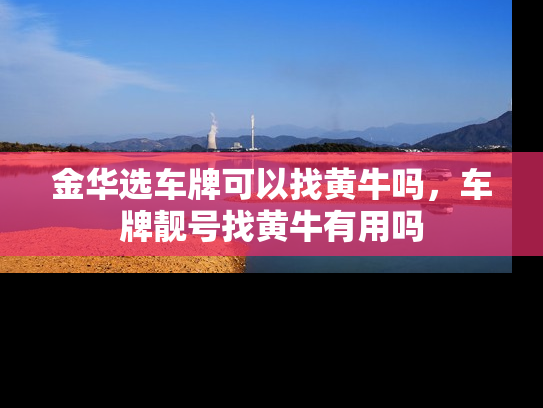 金华选车牌可以找黄牛吗，车牌靓号找黄牛有用吗