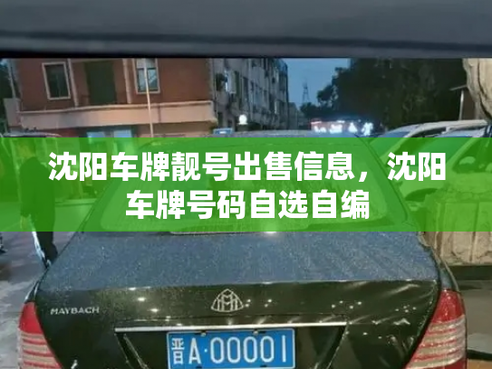 沈阳车牌靓号出售信息,沈阳车牌号码自选自编-第2张图片-七号汽车选号 沈阳车牌靓号出售信息,沈阳车牌号码自选自编-第2张图片-七号汽车选号