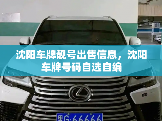 沈阳车牌靓号出售信息,沈阳车牌号码自选自编-第3张图片-七号汽车选号 沈阳车牌靓号出售信息,沈阳车牌号码自选自编-第3张图片-七号汽车选号