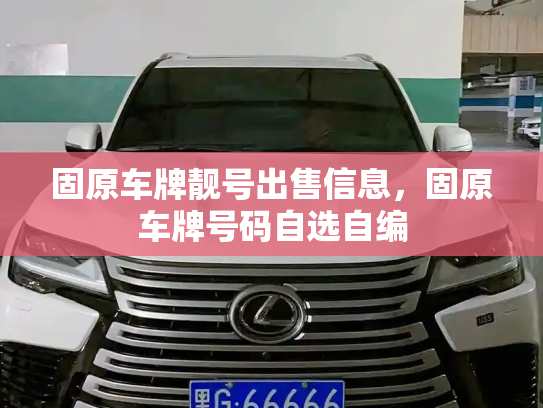 固原车牌靓号出售信息,固原车牌号码自选自编-第2张图片-七号汽车选号 固原车牌靓号出售信息,固原车牌号码自选自编-第2张图片-七号汽车选号