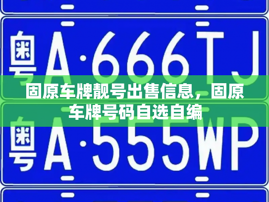 固原车牌靓号出售信息，固原车牌号码自选自编