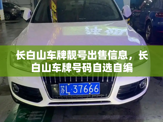 长白山车牌靓号出售信息,长白山车牌号码自选自编-第2张图片-七号汽车选号 长白山车牌靓号出售信息,长白山车牌号码自选自编-第2张图片-七号汽车选号