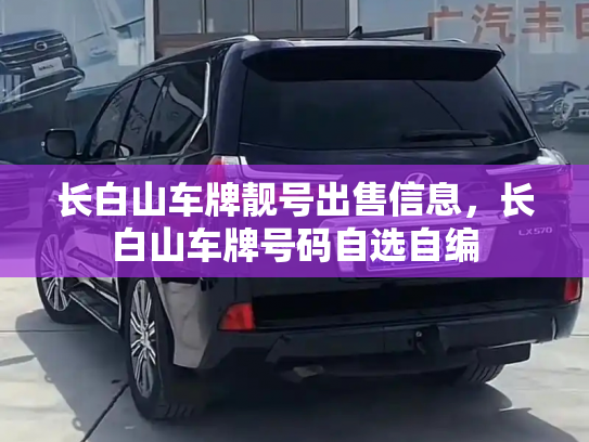 长白山车牌靓号出售信息,长白山车牌号码自选自编-第3张图片-七号汽车选号 长白山车牌靓号出售信息,长白山车牌号码自选自编-第3张图片-七号汽车选号