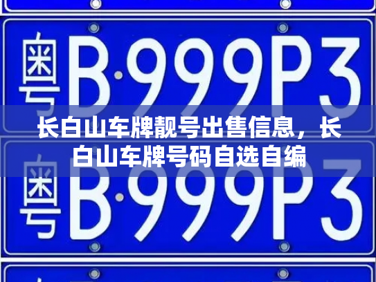 长白山车牌靓号出售信息，长白山车牌号码自选自编