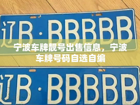 宁波车牌靓号出售信息,宁波车牌号码自选自编-第3张图片-七号汽车选号 宁波车牌靓号出售信息,宁波车牌号码自选自编-第3张图片-七号汽车选号