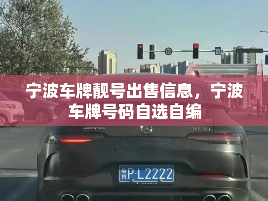 宁波车牌靓号出售信息，宁波车牌号码自选自编