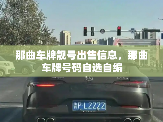 那曲车牌靓号出售信息，那曲车牌号码自选自编-第3张图片-七号汽车选号