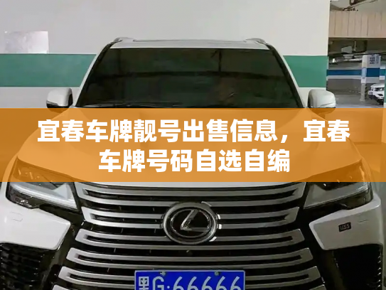 宜春车牌靓号出售信息,宜春车牌号码自选自编-第3张图片-七号汽车选号 宜春车牌靓号出售信息,宜春车牌号码自选自编-第3张图片-七号汽车选号