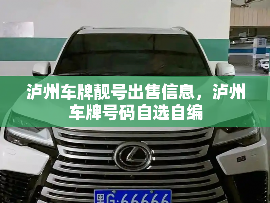 泸州车牌靓号出售信息，泸州车牌号码自选自编