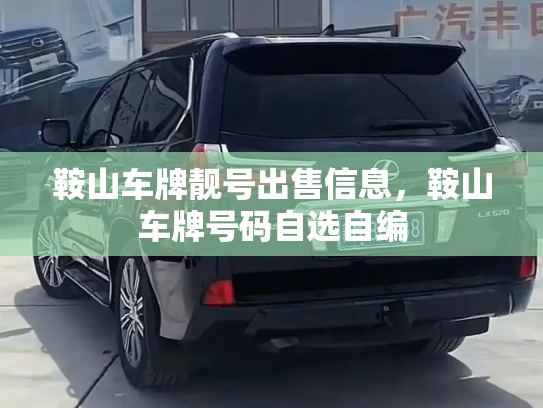 鞍山车牌靓号出售信息，鞍山车牌号码自选自编-第3张图片-七号汽车选号