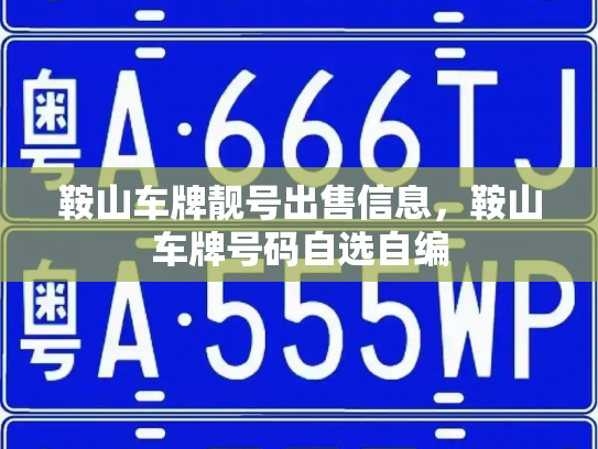 鞍山车牌靓号出售信息，鞍山车牌号码自选自编