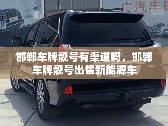 邯郸车牌靓号有渠道吗，邯郸车牌靓号出售新能源车-第3张图片-七号汽车选号