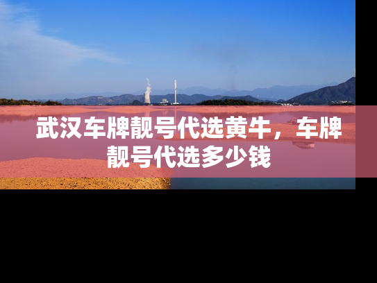 武汉车牌靓号代选黄牛，车牌靓号代选多少钱
