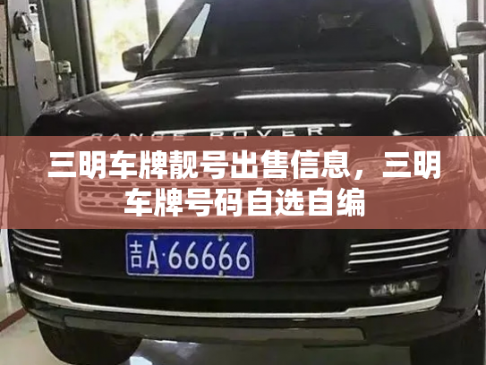 三明车牌靓号出售信息,三明车牌号码自选自编-第2张图片-七号汽车选号 三明车牌靓号出售信息,三明车牌号码自选自编-第2张图片-七号汽车选号