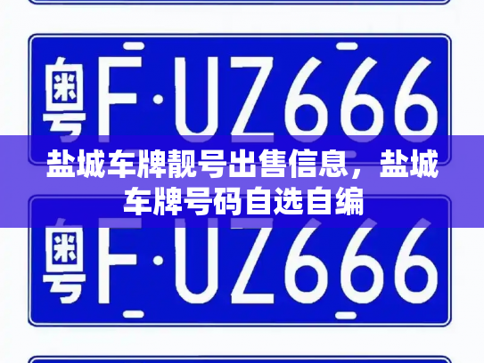 盐城车牌靓号出售信息，盐城车牌号码自选自编-第2张图片-七号汽车选号