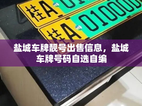 盐城车牌靓号出售信息，盐城车牌号码自选自编