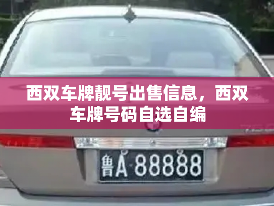 西双车牌靓号出售信息，西双车牌号码自选自编-第2张图片-七号汽车选号