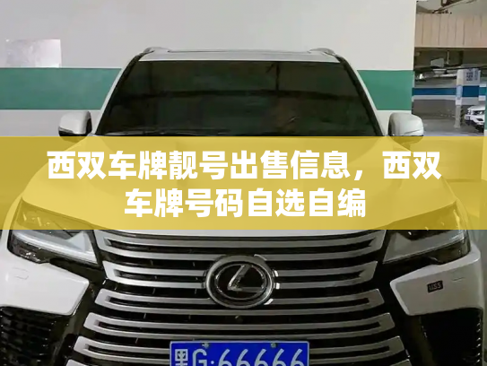 西双车牌靓号出售信息，西双车牌号码自选自编-第3张图片-七号汽车选号