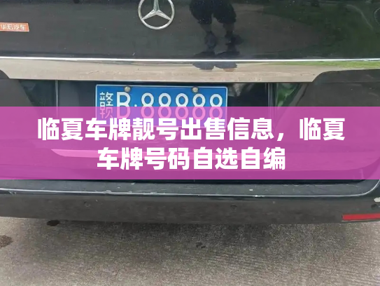 临夏车牌靓号出售信息，临夏车牌号码自选自编-第2张图片-七号汽车选号