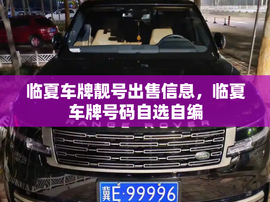 临夏车牌靓号出售信息，临夏车牌号码自选自编-第3张图片-七号汽车选号